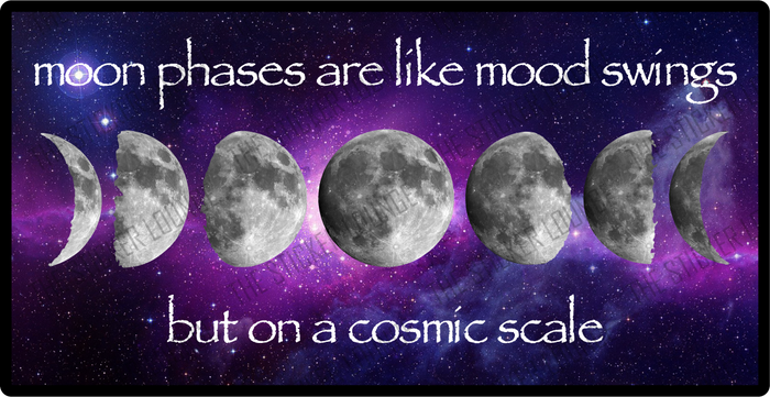 Moon Swings